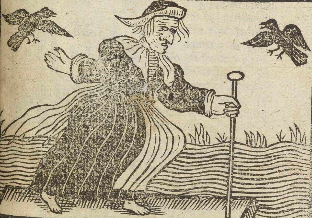 A 1643 English woodcut illustration of a supposed “witch”. The witch has a large hooked nose and appears to be a matured woman. She has thin strands of hair and holds onto a staff. Two black birds fly around her.