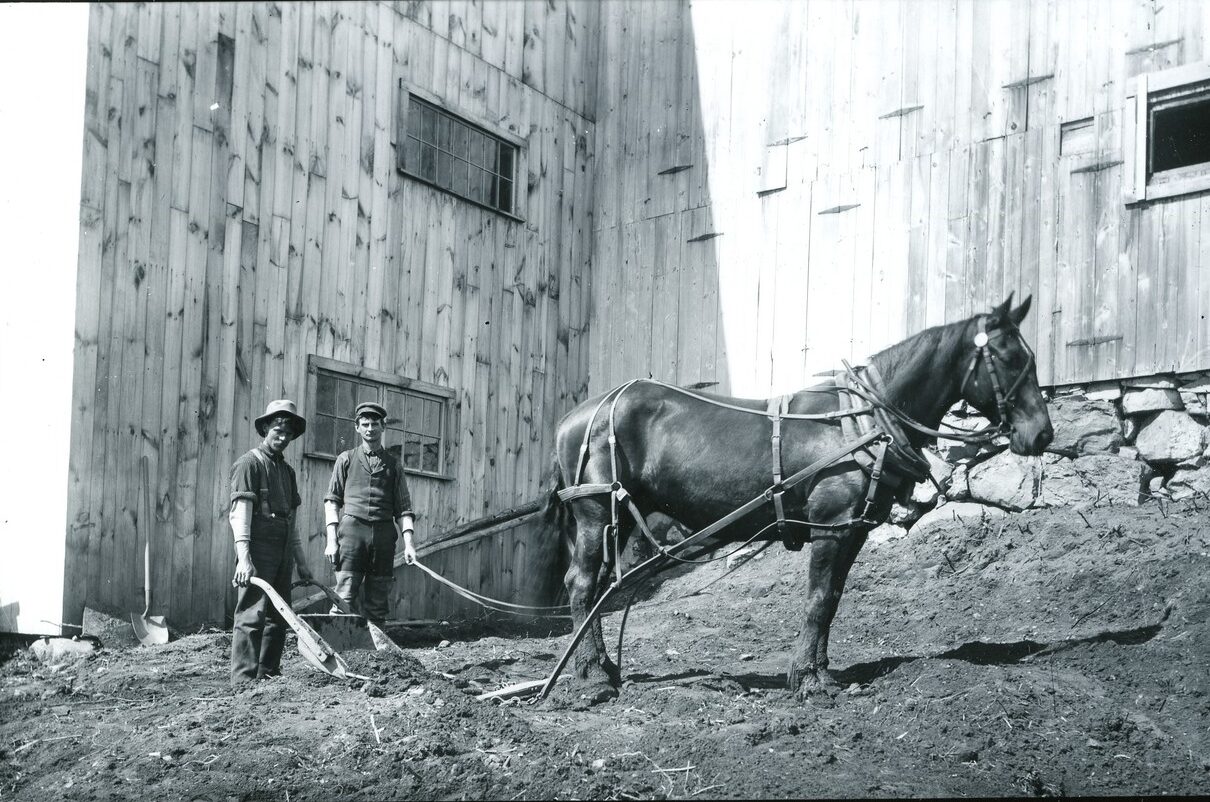Photograph of two men infront of a shed(?) with a large horse. The men appear to be farmers. The photograph is in black-and-white.