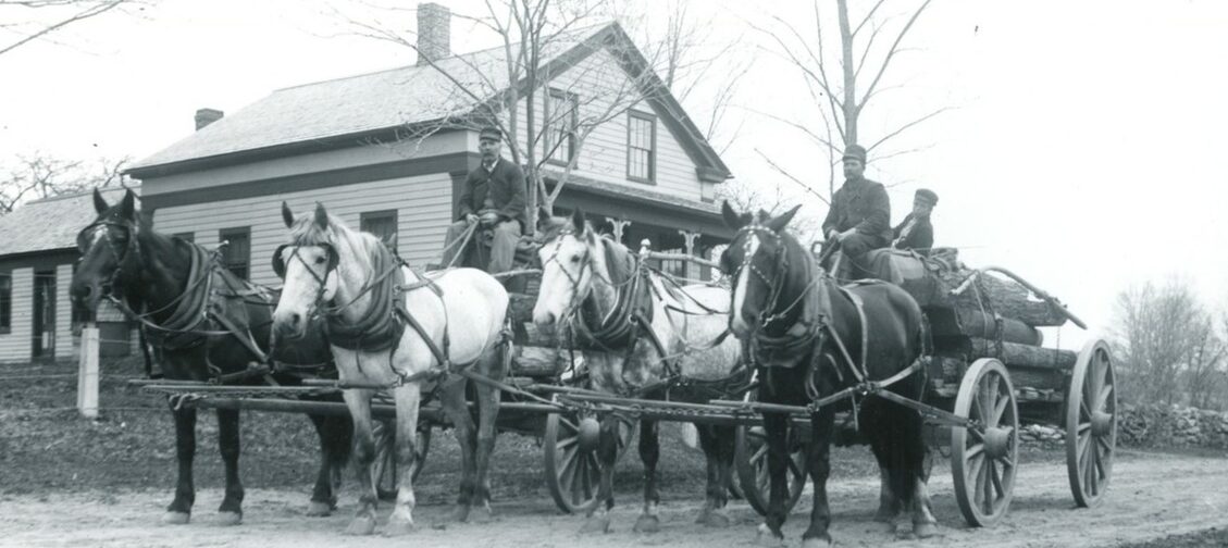 Men transporting logs by horse and carriage. Transporting Logs, Sylvester Road, West Farms.