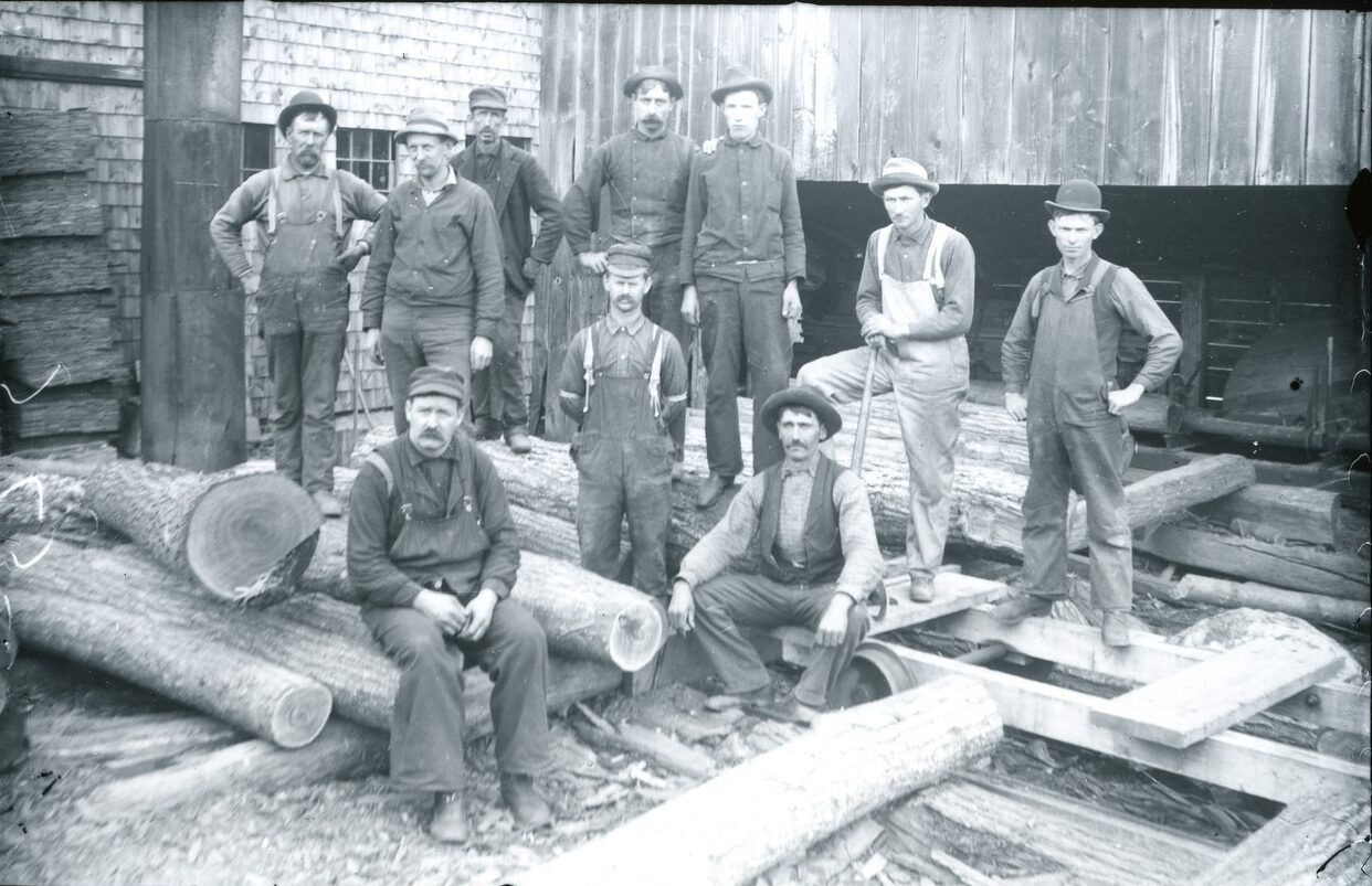 Image 1:  Black-and-white photograph of 10 men of varying ages working at a logging mill. Some wear overalls over button up shirts, and others just wear button ups and pants. Their clothes are all dirty to varying degrees. They all have hats of varying styles on their heads. Around them there are stacks of logs and behind them, a wooden mill.
Image 2: A photograph of a pathway in the woods, framed by trees with small pink budding flowers. Into the distance, the trail drops off and shows flatter wooded land.
Image 3: A large, quill-covered North American porcupine sits on a mossy green rock on the left side of the frame, facing slightly left while putting its front paws toward its face to itch. The porcupine has dark fur on its lower body and long, prominent white-tipped quills covering its back and head. There is a tick on its nose. The background features a large, layered rock formation with dark crevices and a ground covered in dry, brown autumn leaves.
