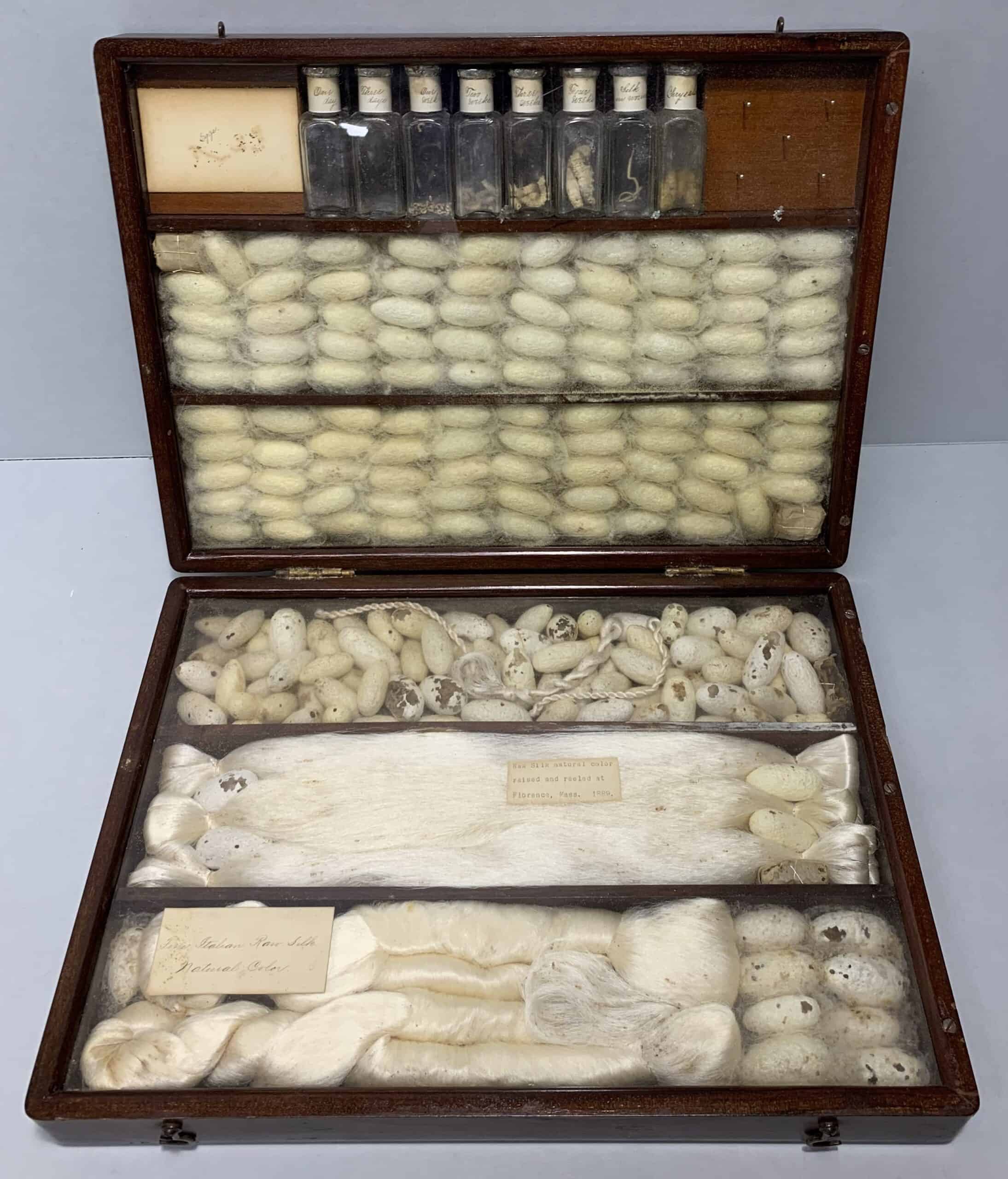 An open, rectangular wooden display case sits on a flat grey surface, showing the contents of its upper lid and lower base. Both the lid and the base are compartmentalized and lined with rows of items related to silk production. The upper lid contains a row of eight small glass bottles with white stoppers and handwritten labels, arranged horizontally along the top edge. Below these bottles are six horizontal rows tightly packed with uniform, oval-shaped white silkworm cocoons. The lower base contains three wide, horizontal glass-covered sections. The top section is filled with loose, slightly textured white cocoons. The middle section contains a thick bundle of smooth, raw white silk fibers stretched horizontally, with a small rectangular paper label in the center. The bottom section contains thick skeins of spun white silk yarn alongside a few more cocoons, with another handwritten paper label placed on the left side.