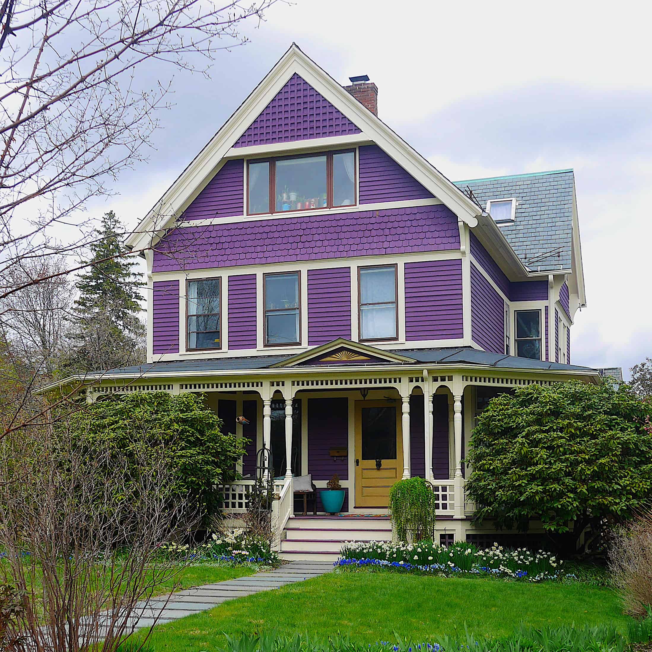 Purple Victorian house, with a walkway in a green lawn and shrubs.
