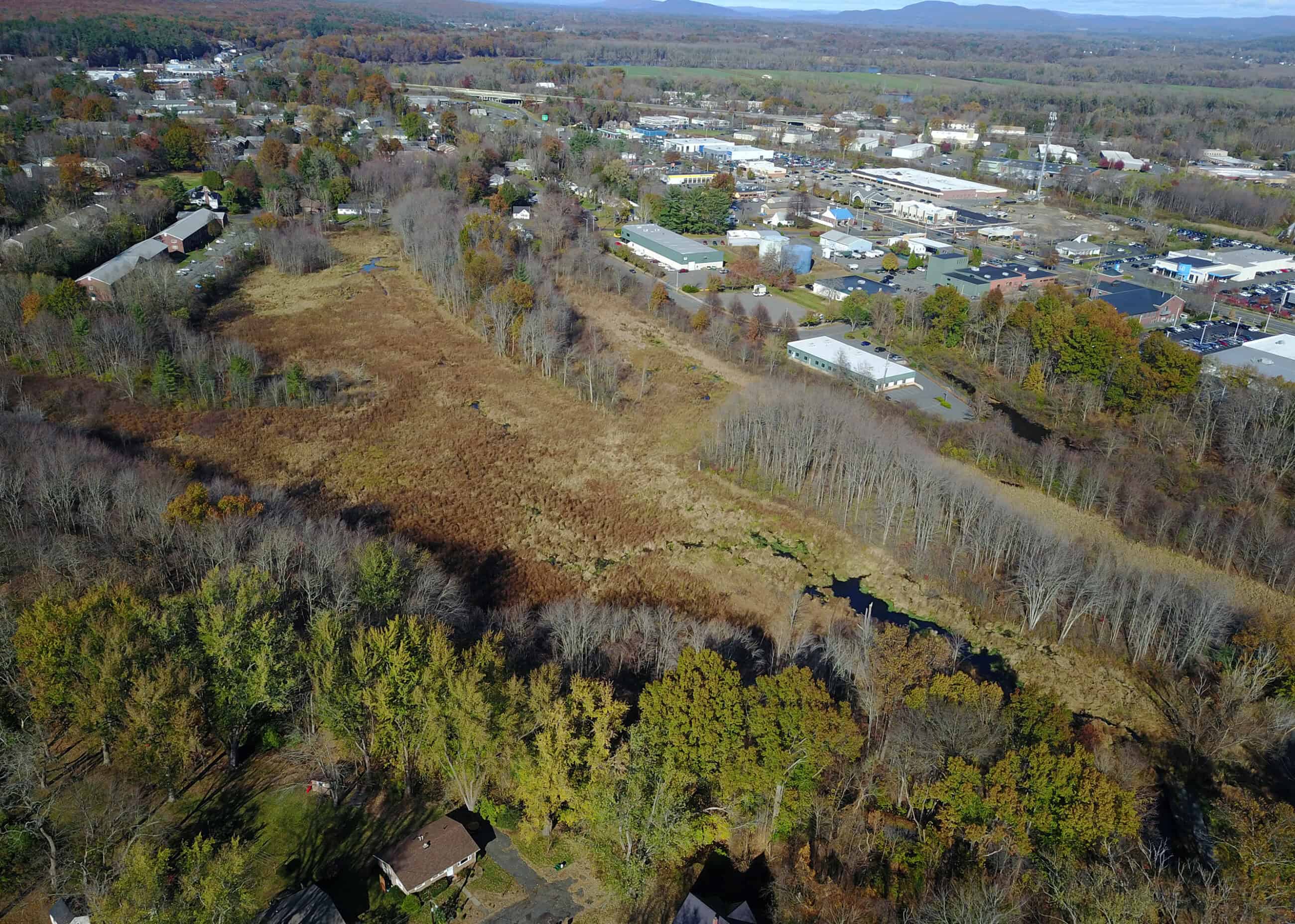 Image 1: Aerial view of Barrett St. Marsh taken by Allison Bell. The image shows a suburban landscape with a mixture of dense green forests, commercial properties, and residential neighborhoods.
Image 2: A photograph of a pond in the Barrett Street Marsh. Long grass weeds rise above the water. Surrounding the pond is forested area. Image 3: Another aerial shot of the area from Google Earth. Near the center of the image, a large, irregularly shaped open wetland or clearing of brown and green vegetation is outlined by a bright green, dashed border. To the right of this outlined area is a major commercial corridor featuring large retail buildings, vast asphalt parking lots with parked cars, and a main roadway running vertically. Surrounding the commercial zone and the outlined area are thick patches of mature green trees, interspersed with residential streets and houses. A set of train tracks runs vertically along the far right side of the frame, and a scale indicator reading "967 ft" is visible in the bottom-left corner.