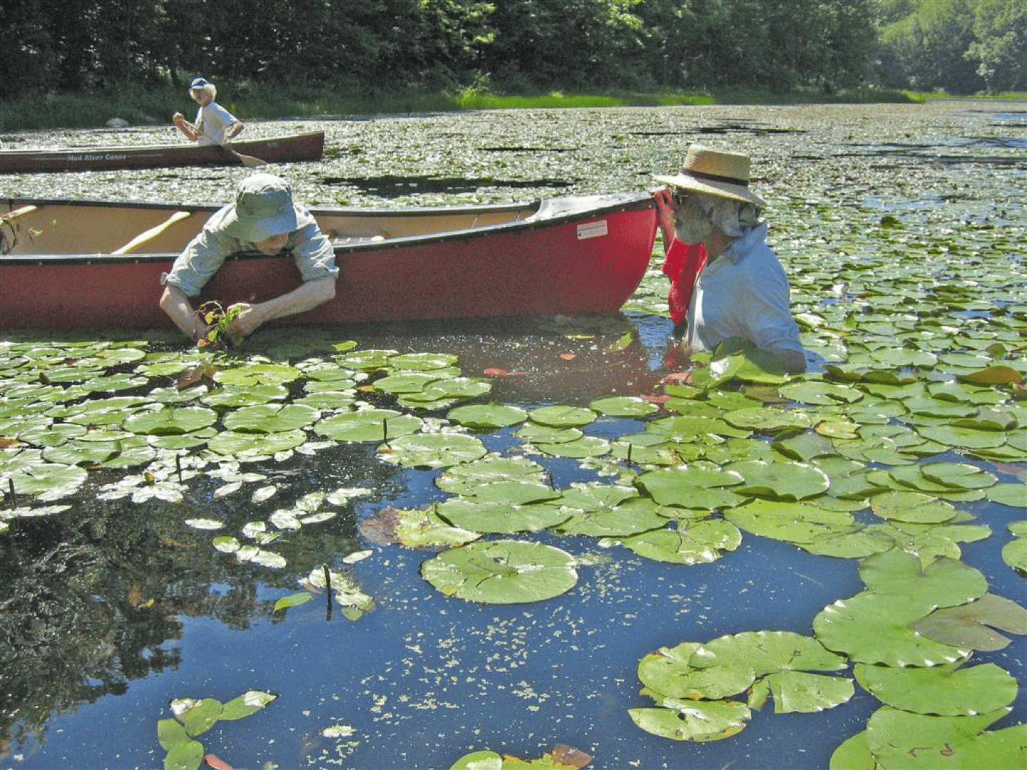 People in the Fitzgerald Lake Conservation Area on little boats. Many lily pads covering the water.