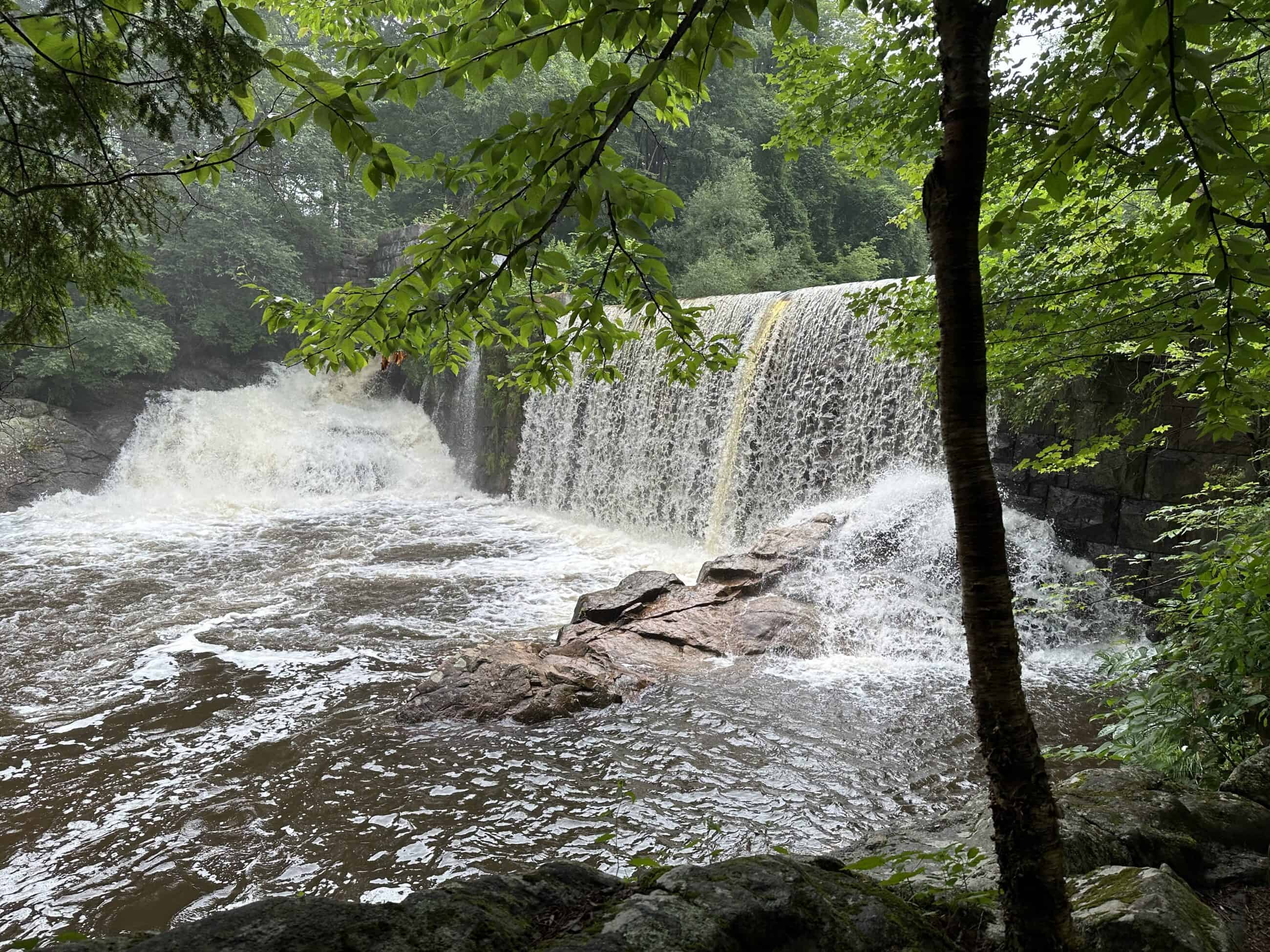Photograph shows a waterfall cascading over a historic stone dam nestled within a lush, green forest. The wide dam spans the center of the image, releasing a broad, textured sheet of water that plummets down into a churning pool of dark brown river water below. On the far left, a steeper, rockier section of the falls churns out heavy white foam and rapids over natural rock formations. In the center foreground, a cluster of wet, reddish-brown flat rocks sits amidst the swirling white foam where the water collects. The scene is framed by a slender, textured tree trunk rising along the right edge, while low-hanging green branches with dense summer leaves drape across the upper portion of the frame. In the background, a thick wall of deep green deciduous and evergreen forest encloses the river basin.