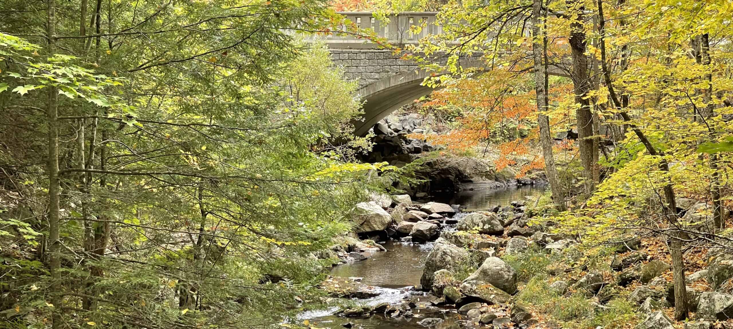 A scenic, landscape photo shows a stone arch bridge stretching over a rocky stream nestled within a dense forest. Large, moss-covered boulders and smaller gray stones fill the creek bed and line its banks. A stone arch bridge crosses the stream in the background, constructed from light gray stone blocks. It features a solid concrete balustrade rail along the top edge, partially obscured by trees. The forest is lush, with dense foliage in shades of green, yellow, and orange, suggesting an early autumn setting.