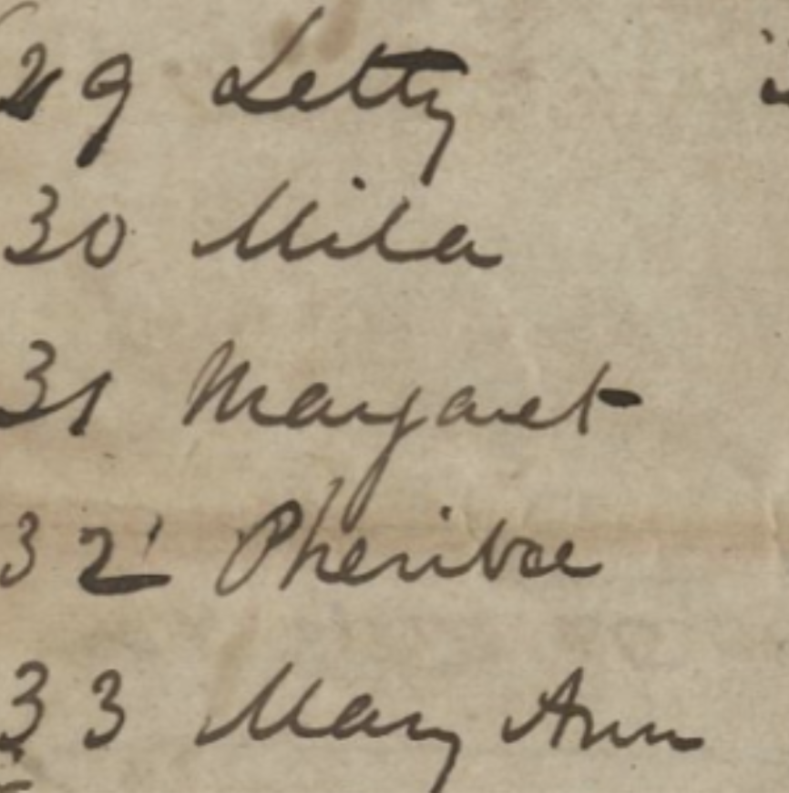 Photograph of section of slave ledger that lists: 29 Letty: 30 30 Milly: 8 31 Margaret: 4 1/2 32 Pheriba: 3 in Dec. 1842 33 Mary Ann: born 15 Dec. 1842."