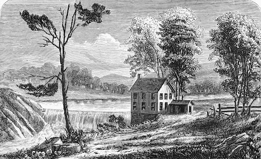 A detailed black-and-white historical engraving shows a Mill in Florence, Massachusetts. On the left, a tall, spindly, mostly bare deciduous tree curves gently over a dirt path running along the foreground, its base surrounded by scattered river rocks and a prominent tree stump. To the right of the tree, a stone and timber dam stretches across the flowing Mill River, creating a waterfall. Nestled against the right riverbank stands the two-story oil mill building with multiple small, multi-paned glass windows across its facade and a smaller wooden shed attached to its right side. A dense grove of mature, leafy trees towers immediately behind and to the right of the mill complex, partially obscuring a split-rail wooden fence running along the grassy bank. In the distant background, the river stretches smoothly past rolling, forested hills