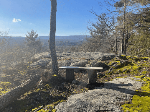 Nature scene at Mineral Hills Conservation Area