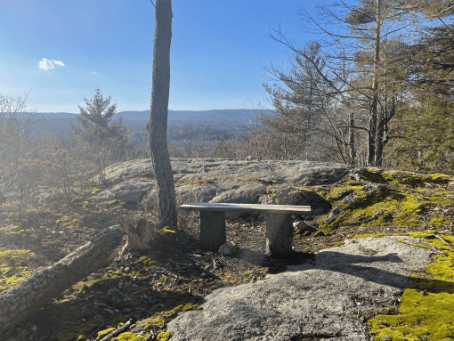 View of a stone and wood bench nestled on a mossy, rocky hill overlooking a vast, forested valley. Bright green moss patches blanket the uneven, grey rocky terrain in the foreground and on the right side of the frame, interspersed with fallen leaves and dry twigs. In the background, a dense, bare forest extends into the distance, giving way to rolling hills under a clear, bright blue sky with a few wispy clouds.