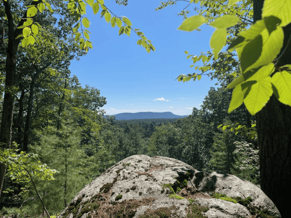 An open view of a distant mountain ridge framed by dense green forest trees. In the immediate foreground, a large, moss-covered boulder anchors the lower center of the frame. The midground drops away into a thick, lush green forest canopy filling a wide valley. In the background, a distinct, flat-topped mountain ridge sits under a clear blue sky with a few scattered clouds. Bright green leaves frame the top left and top right corners of the view.
