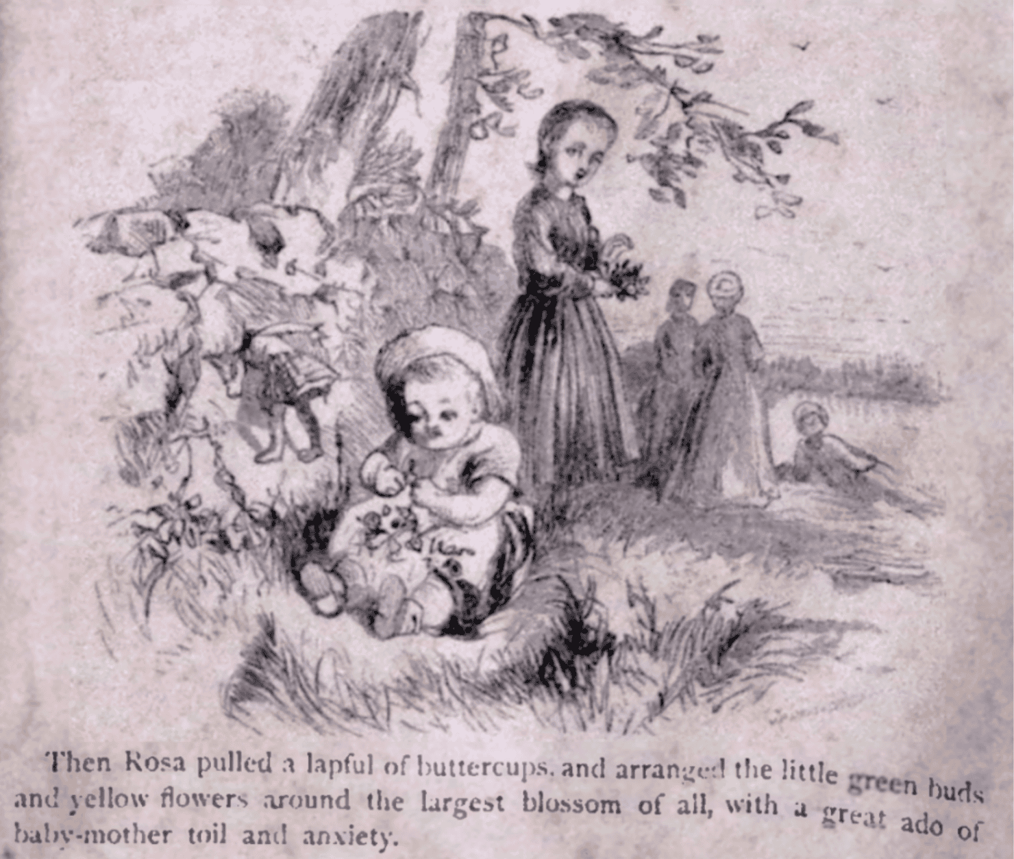 The illustration shows the young children gathering flowers and weeds outside. It is without color. The frontmost child is very young and appears to be a toddler. An older little girl stands and watches over her, while three other children stand in the background.