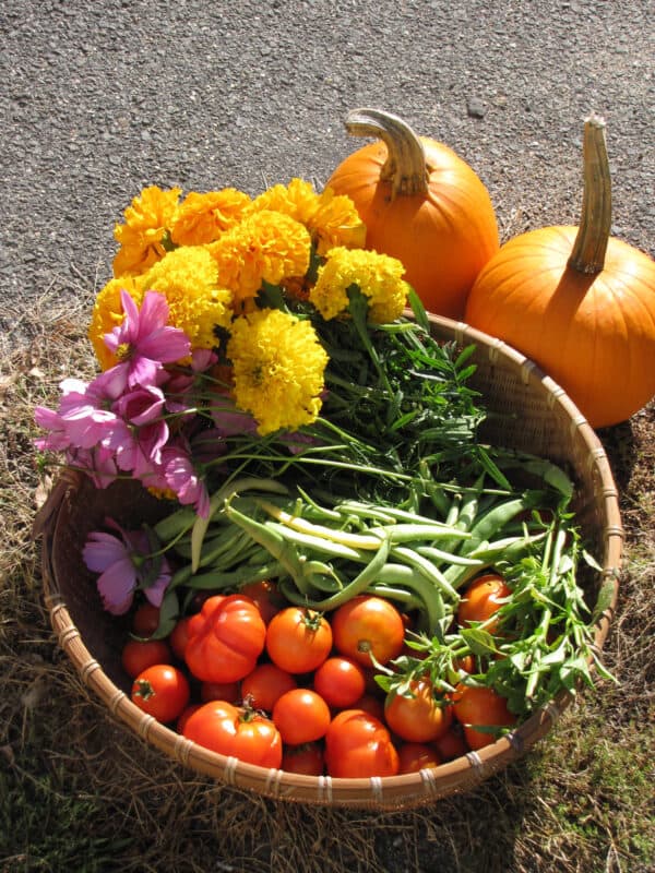 Photo of a colorful basket of vegetables and flowers