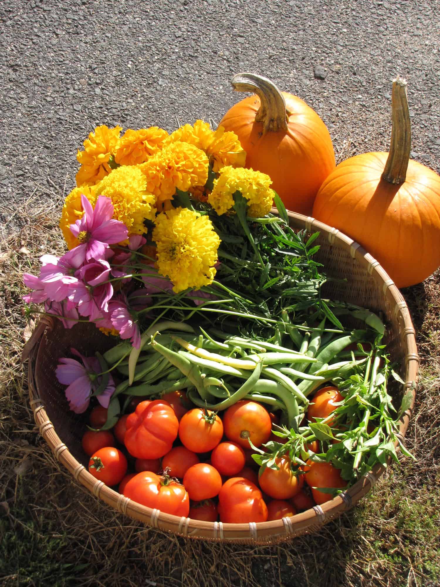 Photo of a colorful basket of vegetables and flowers