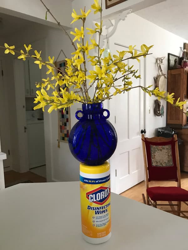 Photo of a blue vase with branches of blooming forsythia perched on top of a container of Clorox Disinfecting Wipes