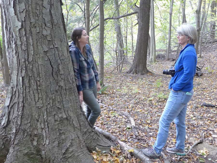 Lisa Brooks (left) and Laurie Sanders (right) are standing in a small grove of black birch trees, at the top of the slope near the meadows along the Mill River, on the former Northampton State Hospital grounds. Sanders has a camera hanging from her neck.