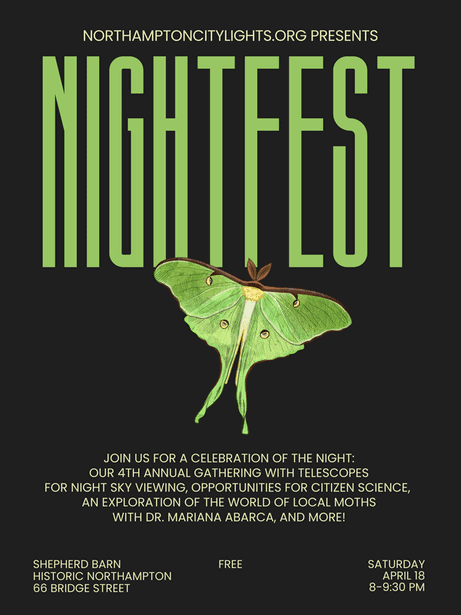 Image of a poster for the event 'NightFest' with green lettering on a black background and an image of a bright green lunar moth