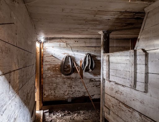 Photograph of the inside of a rustic, low-ceilinged wooden barn stall with peeling white-painted walls. The scene is viewed from a narrow hallway or entrance looking inward. A wooden partition with a sturdy post stands on the right, partially blocking the view of the stall's interior. The floor inside is covered in dark dirt, dried leaves, and debris.On the far back wall, two large leather horse collars hang side-by-side from hooks. The leather on both collars is worn and cracked. A long, thin wooden stick or rod leans diagonally against the wall between them.